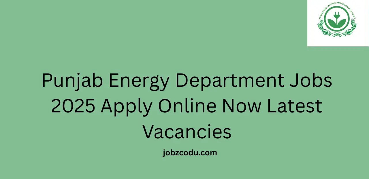 Punjab Energy Department Jobs 2025 Apply Online Now Latest Vacancies