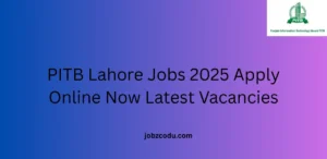 PITB Lahore Jobs 2025 Apply Online Now Latest Vacancies
